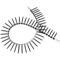 Collated Screws
