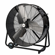 Fans
