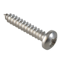 Self-Tapping Screw Pozi Compatible Pan Head SS 1in x 10 ForgePack 15
