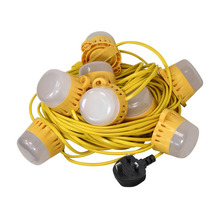 Festoon Lights 10 LED Bulbs 240V 22m