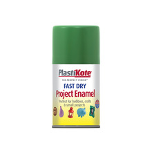 PlastiKote PKT104S Fast Dry Enamel Aerosol Garden Green 100ml