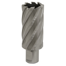 Sealey RBHSS31L Worksafe&reg; 31mm HSS Mag Drill Bit Cut Depth 50mm