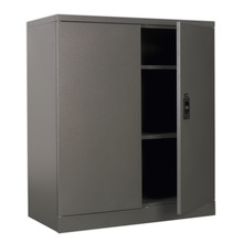 Floor Cabinet 2 Shelf 2 Door