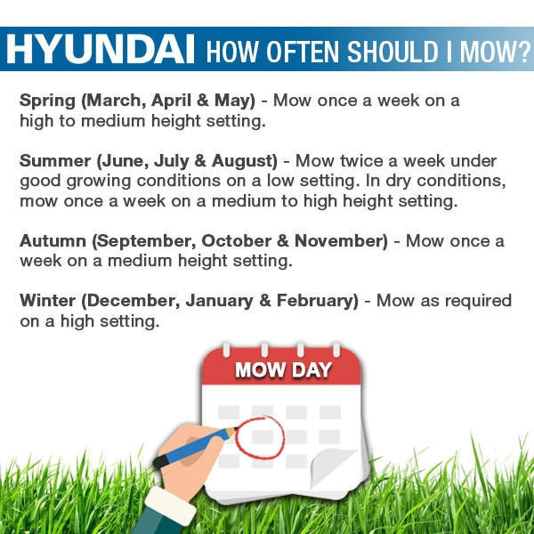Hyundai 19 /48cm 139cc Self-Propelled Petrol Roller Lawnmower | HYM480SPR