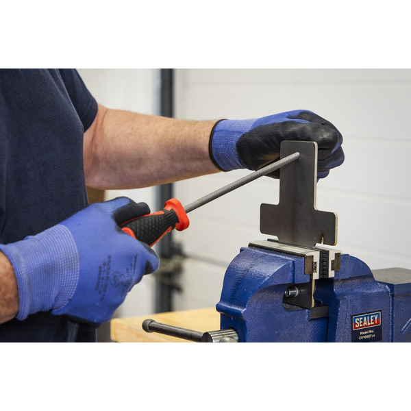 Sealey AK582 Premier File & Rasp Set 8pc