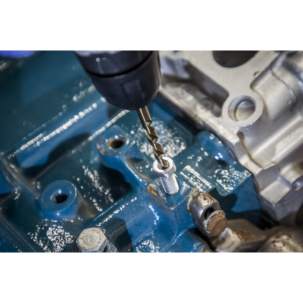 Sealey AK8149 Master Extractor Set 49pc