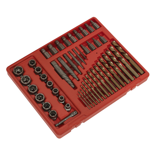 Sealey AK8149 Master Extractor Set 49pc