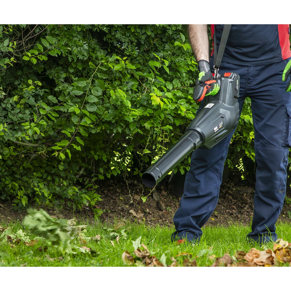 Sealey CP40VB SV20 Series Cordless Blower 40V - Body Only