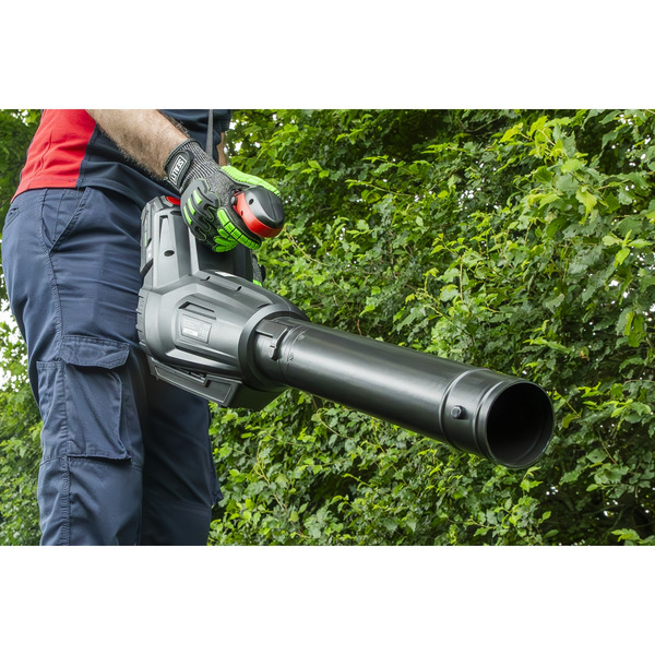 Sealey CP40VB SV20 Series Cordless Blower 40V - Body Only