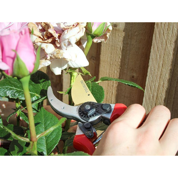 Countryman Professional Bypass Secateurs 215mm (8in)