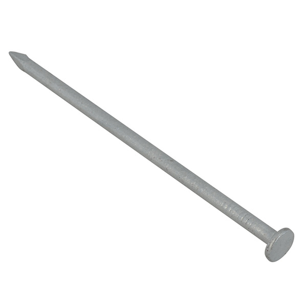 Batten Nails Galvanised 65 x 2.65mm (2.5kg Bag)