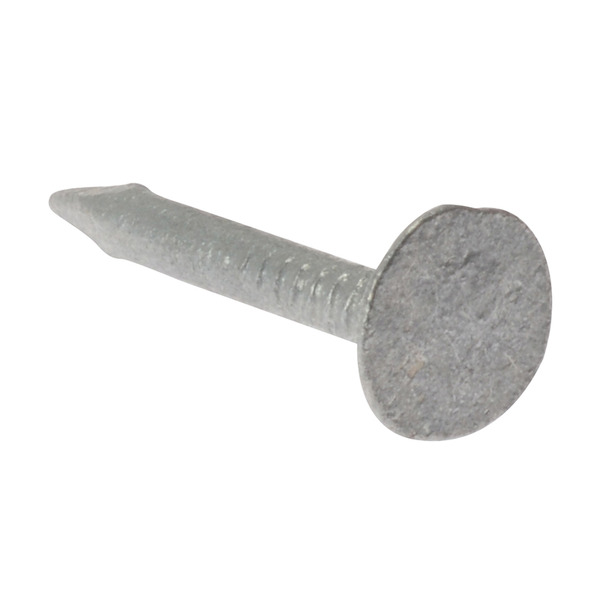 Clout Nail Extra Large Head Galvanised 25mm (500g Bag)