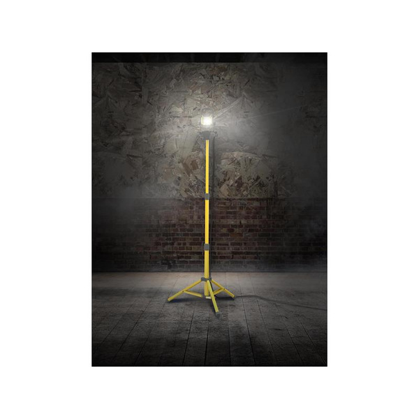 Lighthouse 2000 Single Site Light 18W 110V