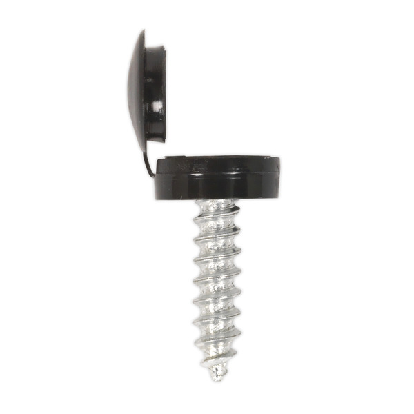 Sealey NPSSET Clip Strip Deal - Mixed Numberplate Screws