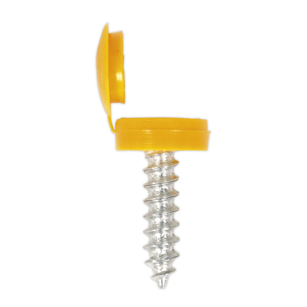 Sealey NPSSET Clip Strip Deal - Mixed Numberplate Screws