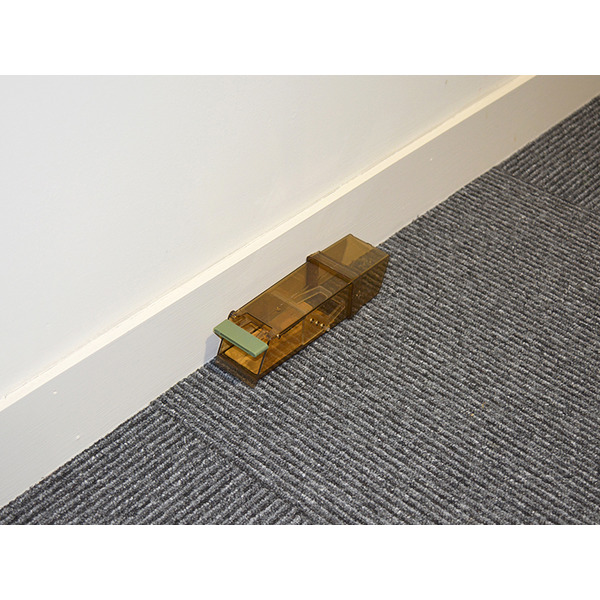 Pest-Stop (Pelsis Group) Trip-Trap Humane Mouse Trap (Single Loose)