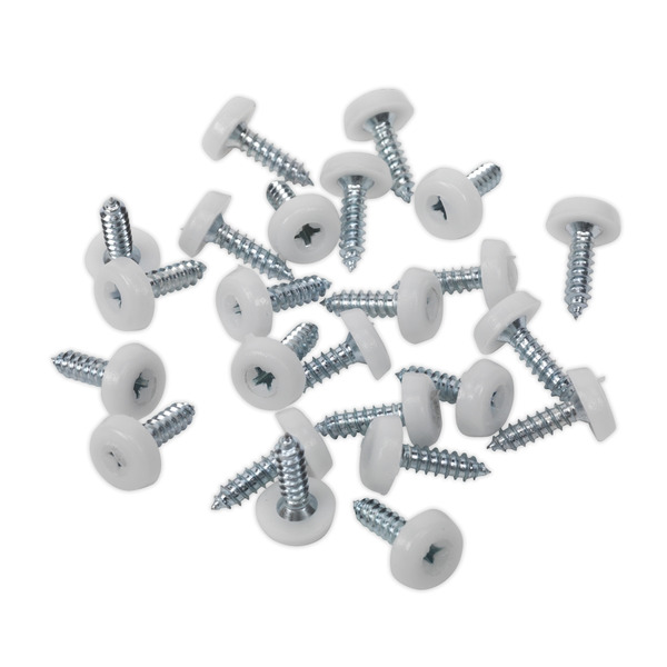 Sealey NPSSET Clip Strip Deal - Mixed Numberplate Screws
