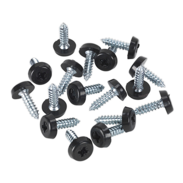 Sealey NPSSET Clip Strip Deal - Mixed Numberplate Screws