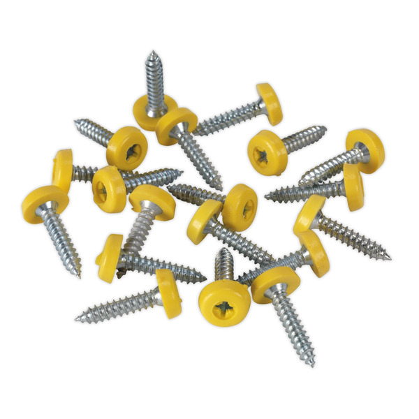 Sealey NPSSET Clip Strip Deal - Mixed Numberplate Screws