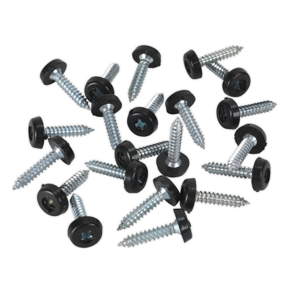 Sealey NPSSET Clip Strip Deal - Mixed Numberplate Screws
