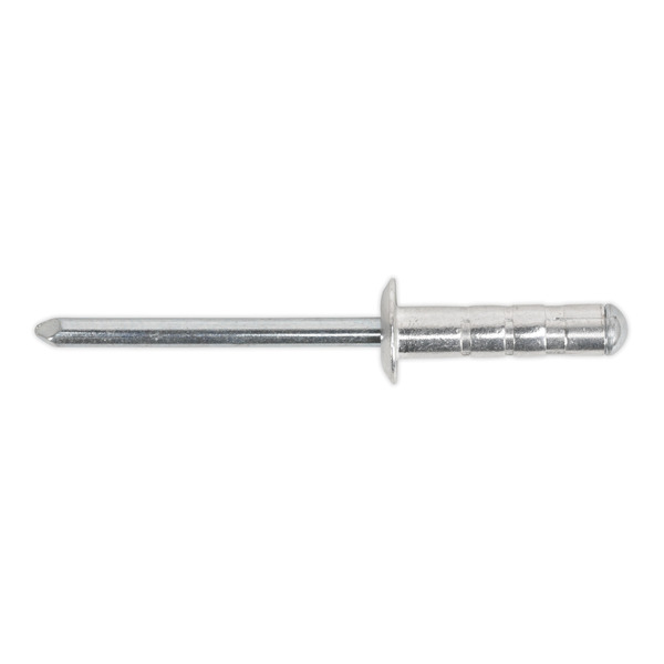Sealey RVSET Clip Strip Deal - Aluminium Rivets