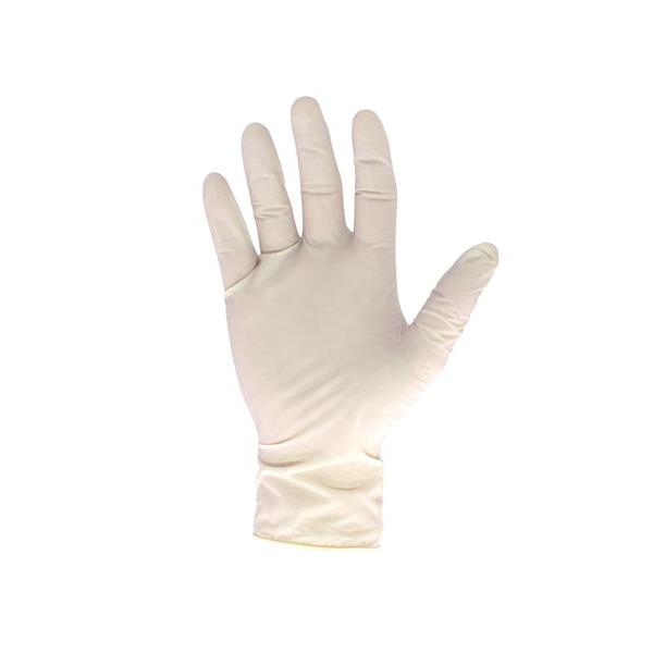 Latex Gloves - XL (Box 100)