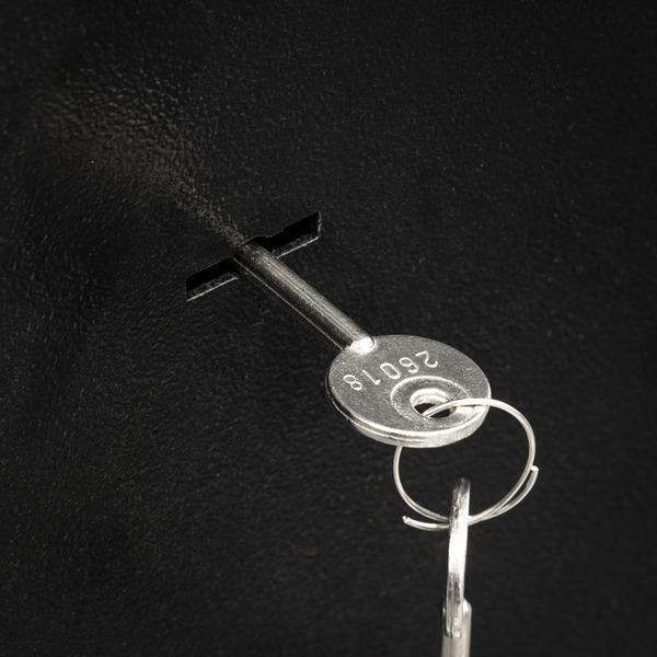 Sealey SGS3 3 Gun Cabinet