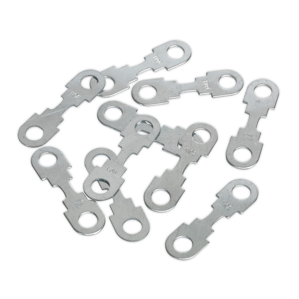 Sealey START360.F10 Fuse for START560 110Amp - Pack of 10