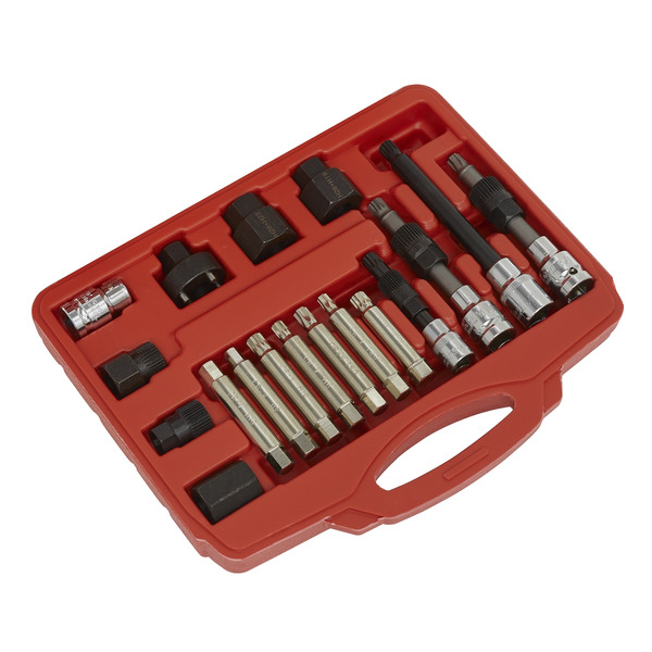Sealey SX402 Alternator Freewheel Pulley Removal Set 18pc