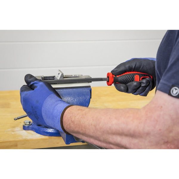 Sealey TBT09 Premier Engineer's File Set with Tool Tray 5pc