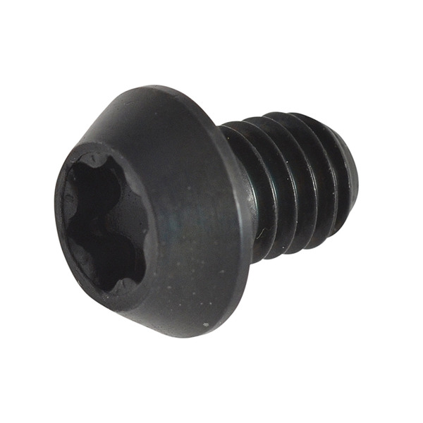 Trend TRERT35 RT/3.5 TORX Replacement Screws