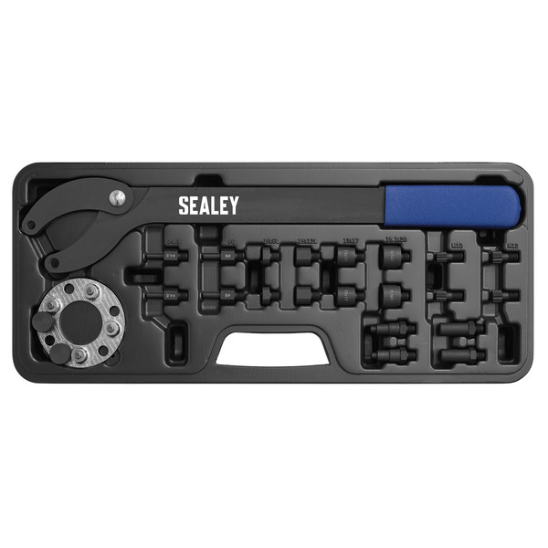 Sealey VS754 Pulley Holding/Turning Set for VAG 24pc