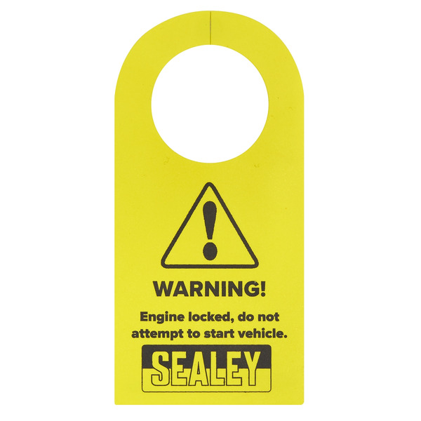 Sealey VSE6156 Petrol Engine Balance Shaft Alignment Tool Kit - for BMW, BMW Mini, Citroen, Peugeot - Chain Drive