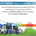 Hyundai 19 /48cm 139cc Self-Propelled Petrol Roller Lawnmower | HYM480SPR