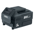 D20 20V Li-ion Battery, 5.0Ah