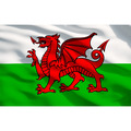 Superline PRO® Rollcab 7 Drawer & Wales Graphics Pack