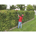 Einhell GE-HC 18 Li T-Solo High Trimmer & Pruner 18V Bare Unit