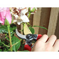 Countryman Professional Bypass Secateurs 215mm (8in)