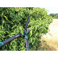 Countryman Hedge Shear 300mm (12in)
