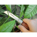Faithfull Countryman Budding & Pruning Knife