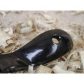 Spokeshave Flat