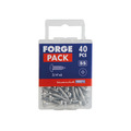 Self-Tapping Screw Pozi Compatible Pan Head SS 3/4in x 6 ForgePack 40