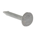 Clout Nail Extra Large Head Galvanised 25mm (500g Bag)