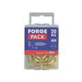 Wood Screw Slotted CSK Brass 1in x 6 ForgePack 20
