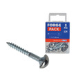 Mirror Screw Chrome Domed Top Slotted ZP 1.1/4in x 8 Forge Pack 8
