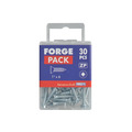 Self-Tapping Screw Pozi Compatible Pan Head ZP 1in x 6 ForgePack 30