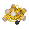 Festoon Lights 10 LED Bulbs 240V 22m