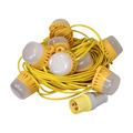 Festoon Lights 10 LED Bulbs 110V 22m