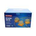 Festoon Lights 10 LED Bulbs 110V 22m