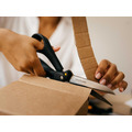 Amplify Scissors 24cm